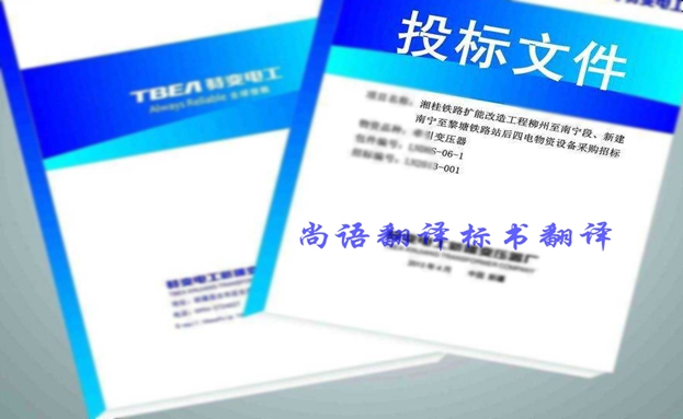 西班牙語投標(biāo)書翻譯價(jià)格要多少錢？收費(fèi)標(biāo)準(zhǔn)是什么？