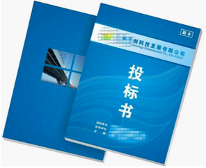 項(xiàng)目標(biāo)書翻譯多少錢，標(biāo)書翻譯公司報(bào)價(jià)