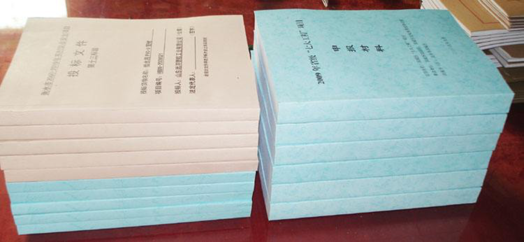 標(biāo)書的翻譯要求及收費標(biāo)準