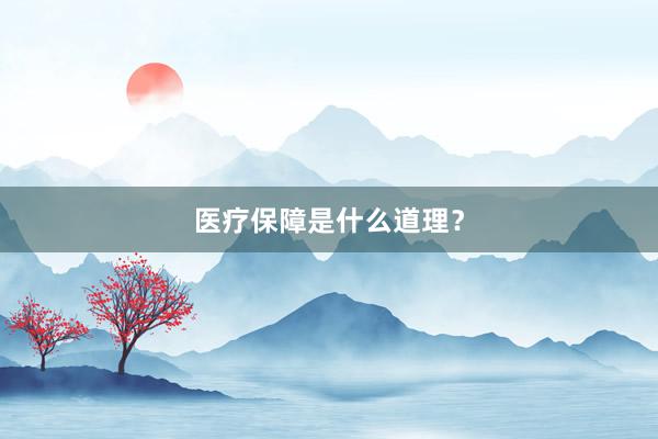 医疗保障是什么道理?